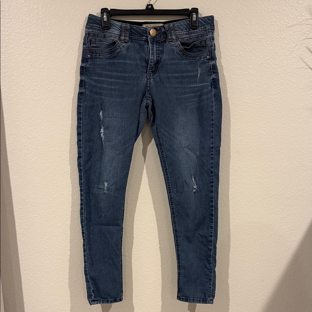 Democracy Dark Blue Skinny Jeans